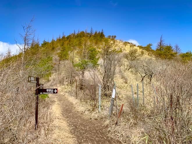 5分ほど下山して、平沢山の分岐点まで戻ってきました