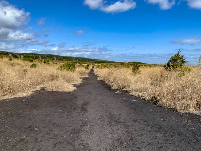 500メートル程進むと溶岩は殆ど無くなり