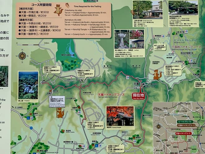 「鎌倉アルプス」トレッキングコース