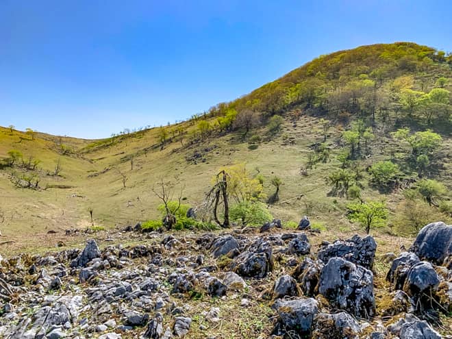 お猿岩は、恐らく岩が猿