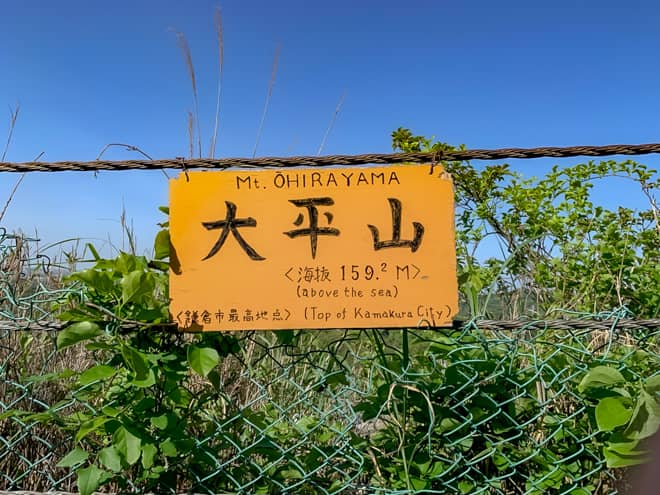 こちらが大平山山頂です