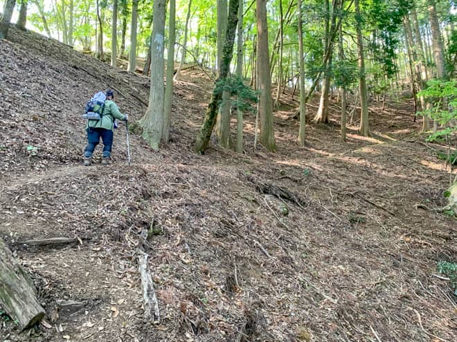 たしかに急な登りが続き、きつかったのですが
