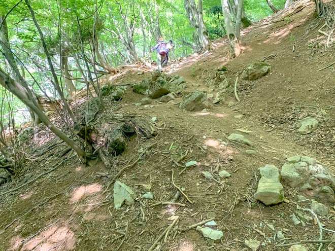 ひたすら登りごたえのある山道を登ります