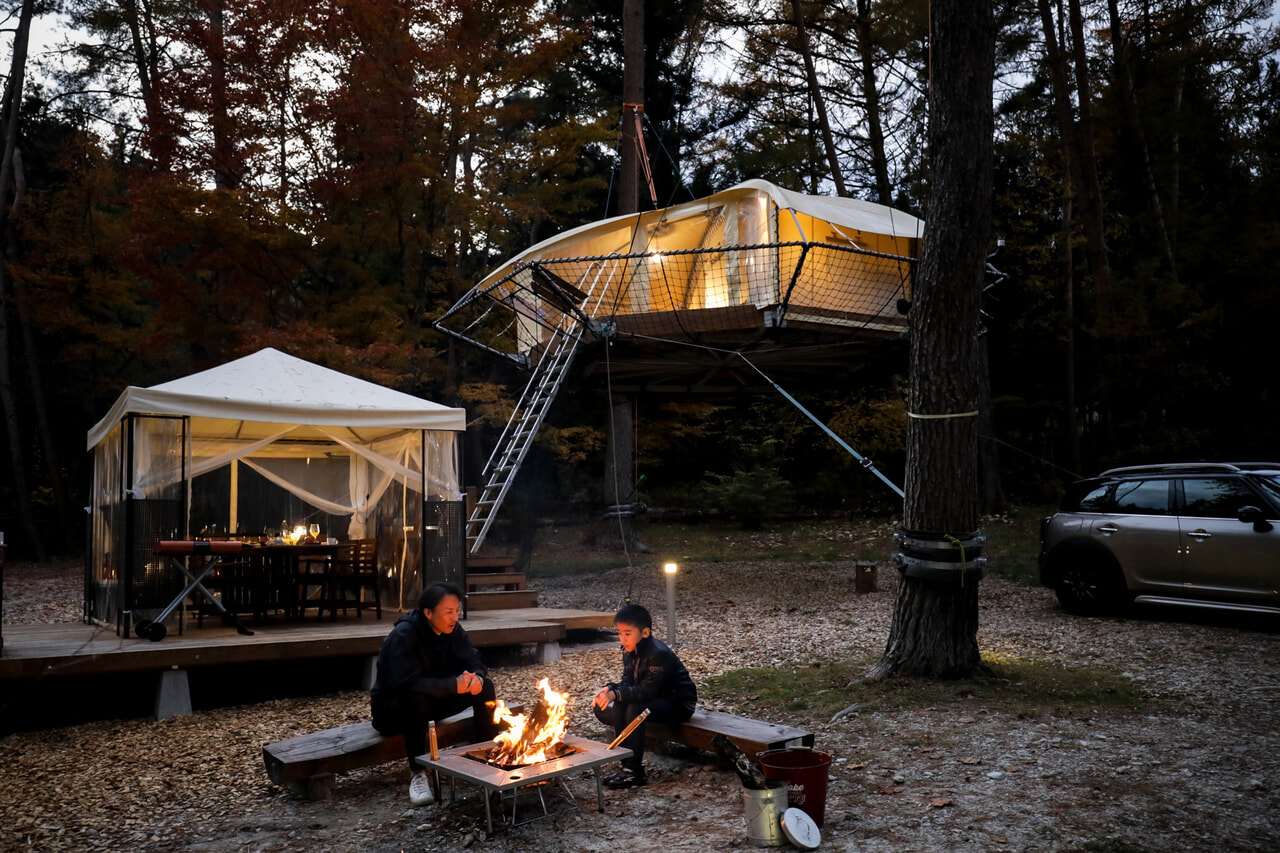 夢の樹上キャンプができる「ツリードーム南信州まつかわ」に新たなお部屋がオープン