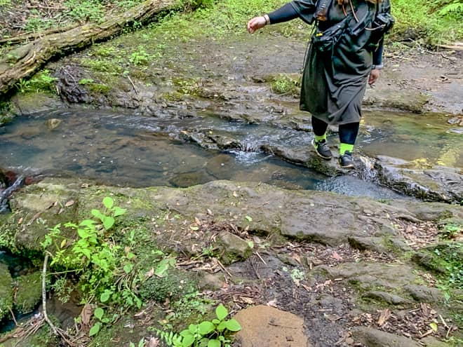 下山口に近づくにつれ