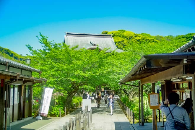 今回は、北鎌倉駅より建長寺経由で天園ハイキングコースに入山して