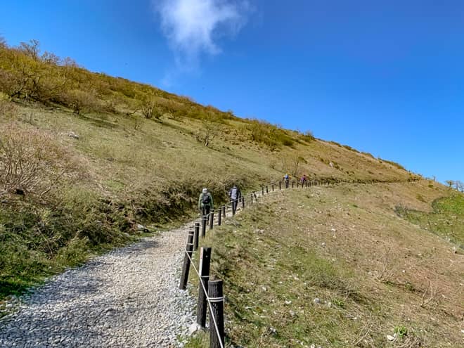 伊吹山は沢山の高山植物が咲き誇るので