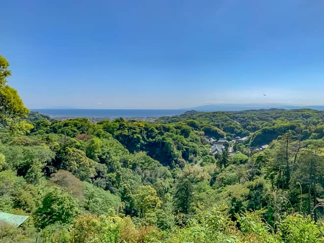 勝上献展望台からは