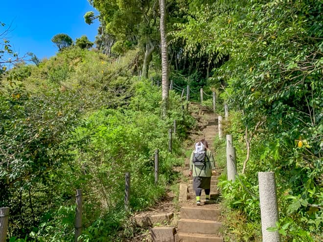 勝上献展望台までは約5分ですが