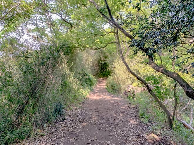 十王岩までは木漏れ日の気持ち良い山道