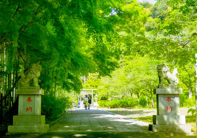 半僧坊の入り口からは約270段の階段を昇ります