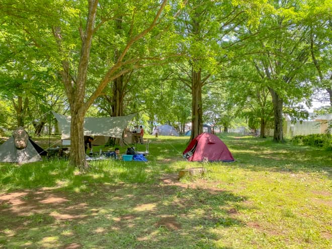 坂戸市民総合運動公園キャンプサイト詳細 無料キャンプが楽しめる野外活動施設を紹介 キャンプクエスト