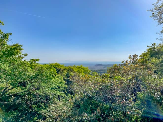 天園→獅子舞分岐