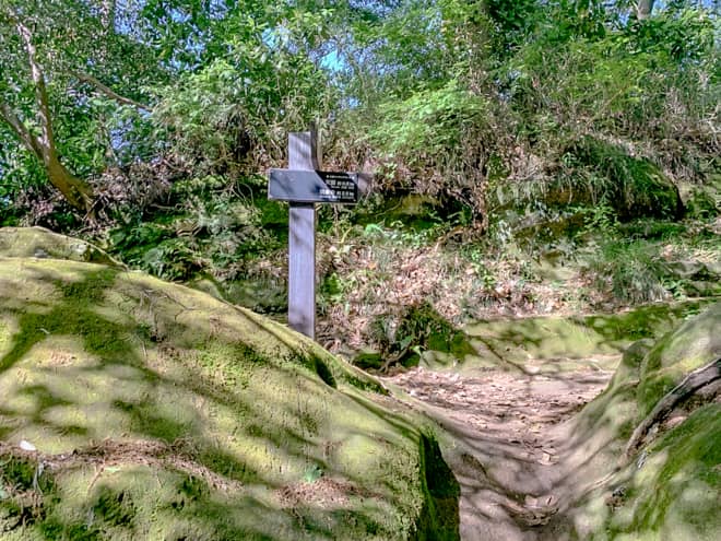 天園まで800メートルの標識から先は