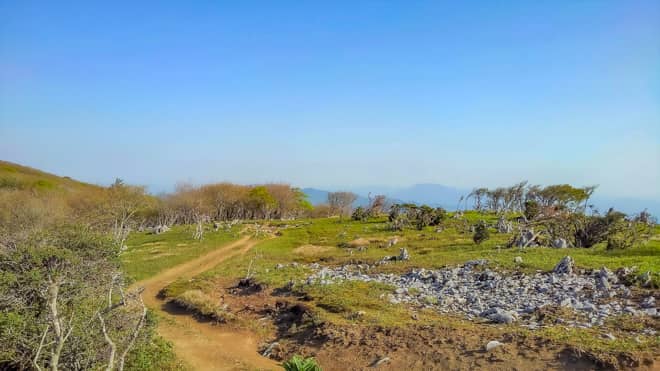 天狗岩までの道