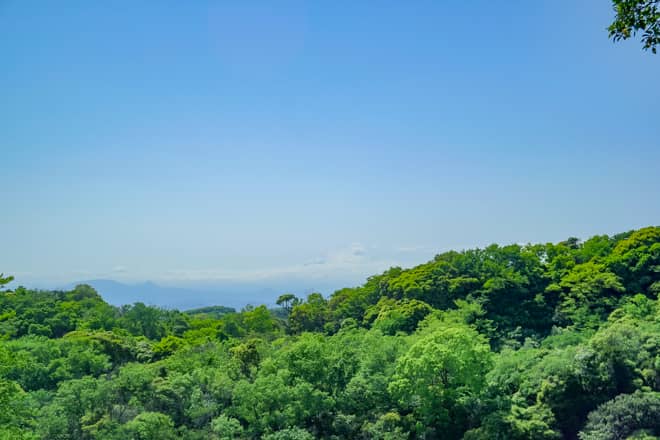 富士見台からは、その名の通り