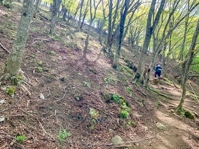 山道の先には空が見えるのですが