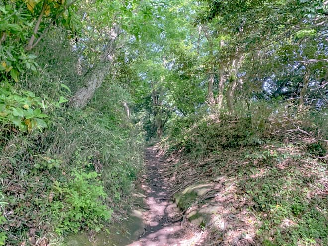 山頂である大平山まではここから約1キロ程度の道のりです