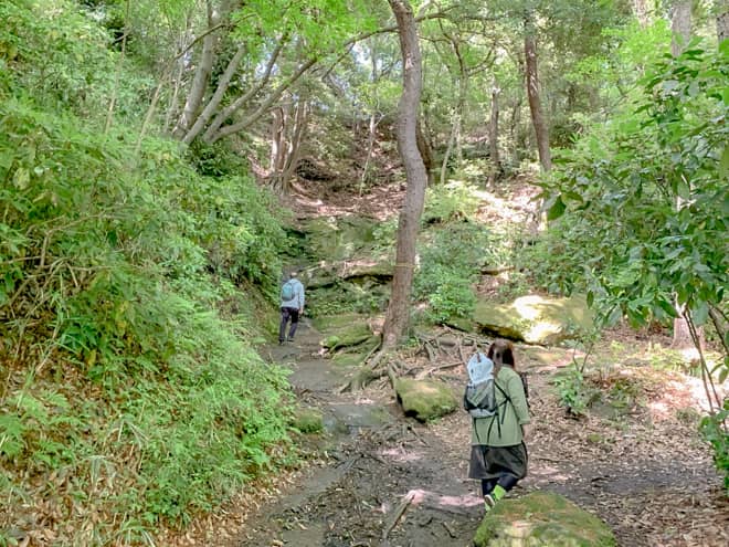 山頂に近づくにつれて、登りが多くなっていきます。