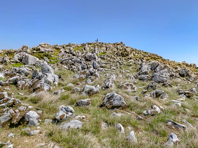 山頂手前からは道なき道を登るイメージです
