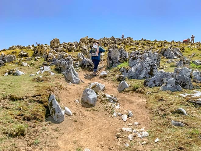 山頂手前で登りがきつくなり