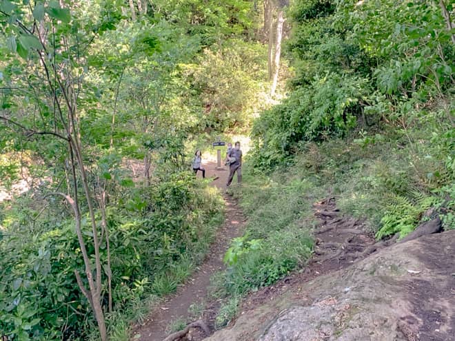 岩だらけの歩きごたえのあるエリアを抜けると