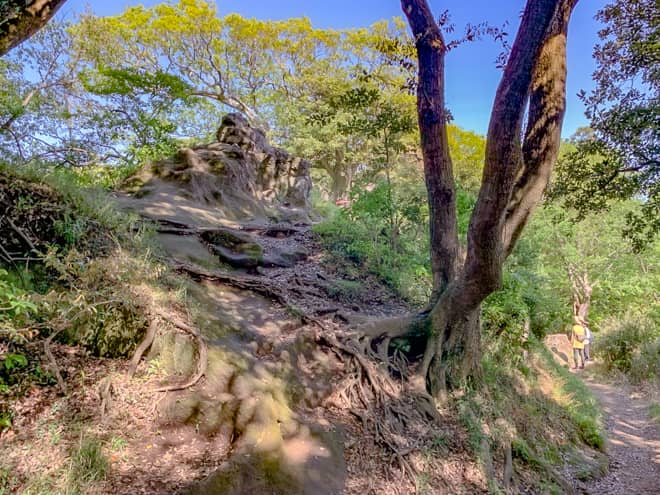 岩の上には3体の仏像が