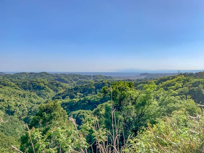 広場には木々に囲まれていない場所が1ヶ所あるのですが