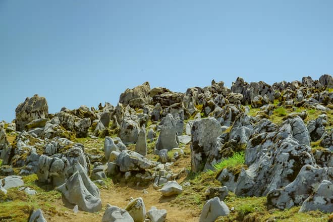 広大な山頂台地から望む360度パノラマビューの絶景「霊仙山」