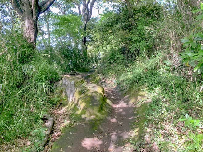 意外とアップダウンの激しい道で