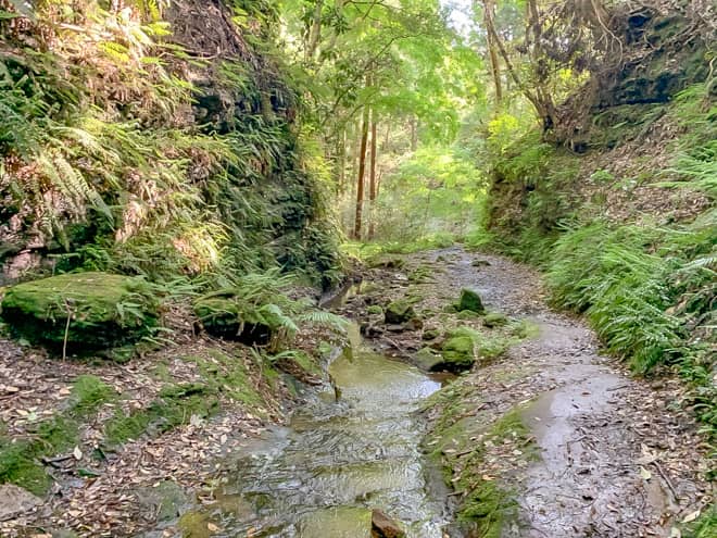 日当たりが悪いことと