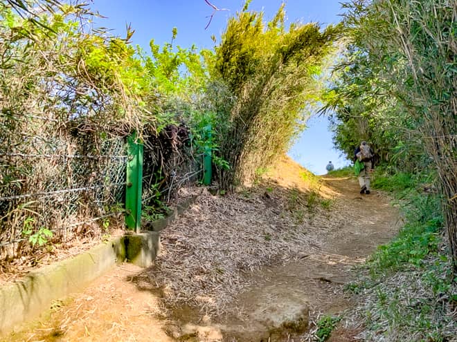 景色が開けてきました