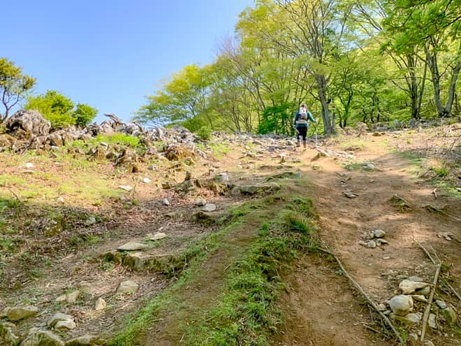 暫くすると景色開けてきました