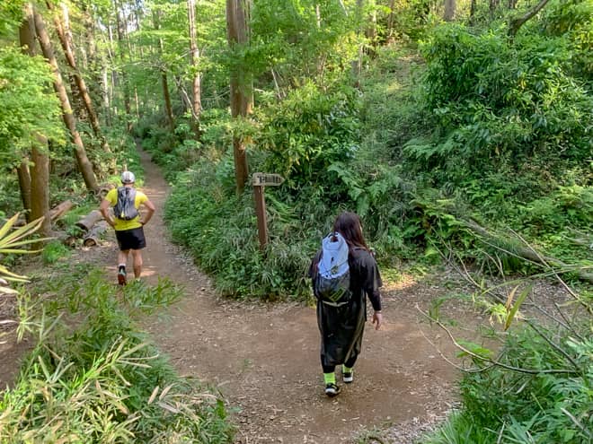 暫く進むと獅子舞分岐に到着します