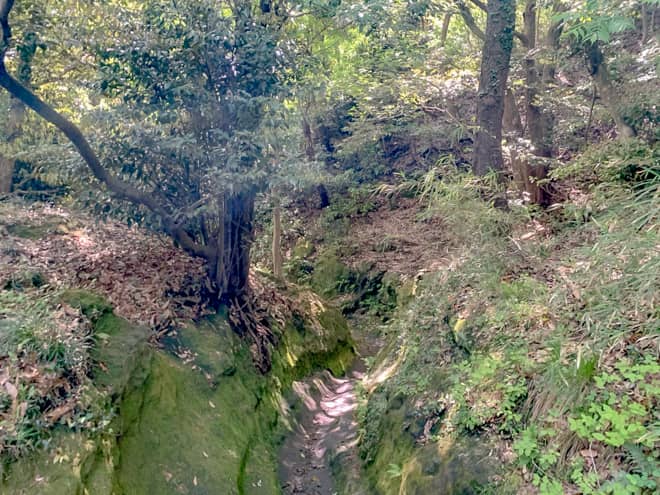 更に先へ進むと狭い岩場の登りが