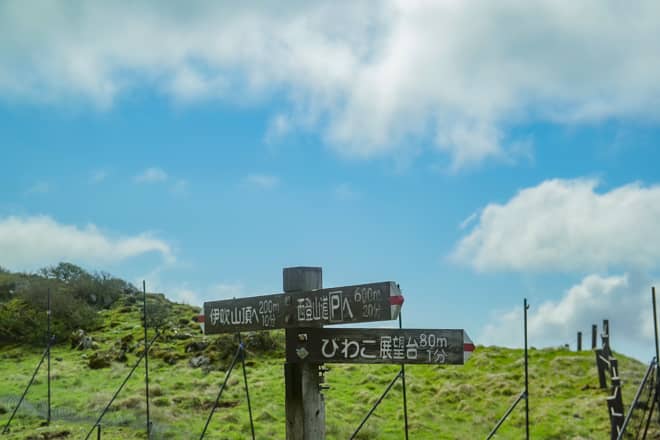 最短20分で登頂可能なの難易度の低さ