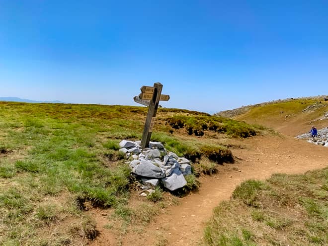 期待を込めて登り切った先にあったのは分岐の標識でした