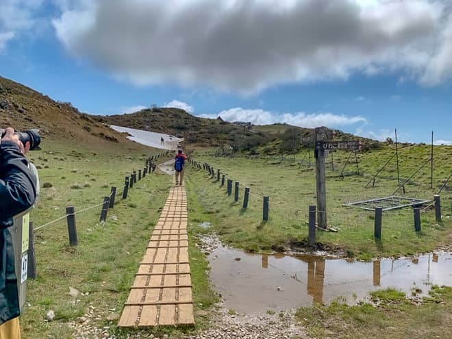 木道が整備された山道は開放感抜群です
