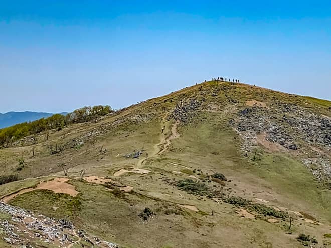 本来であれば山頂がゴールなのですが
