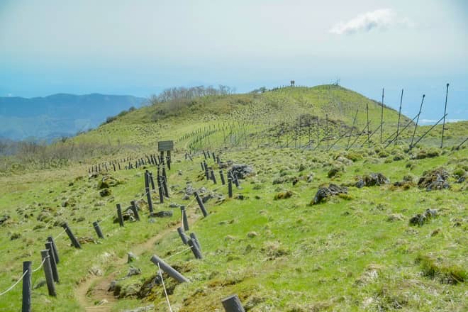 本格的な登山も楽しむことが出来る