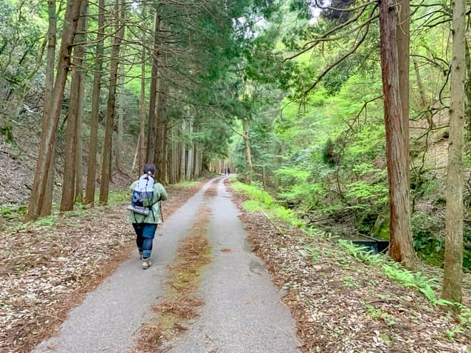 林道はアスファルトで舗装された