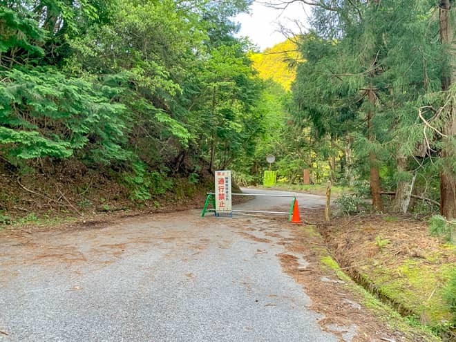 林道を半分ほど進むと