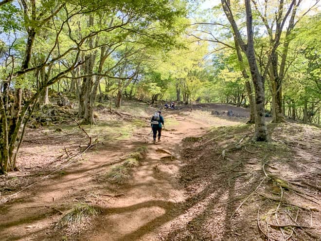 歩いていて大変気持ちの良い道です