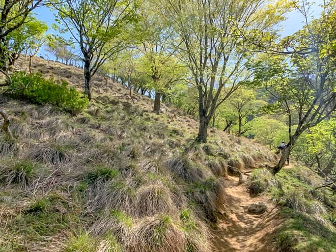 段々と空が近づいてきました