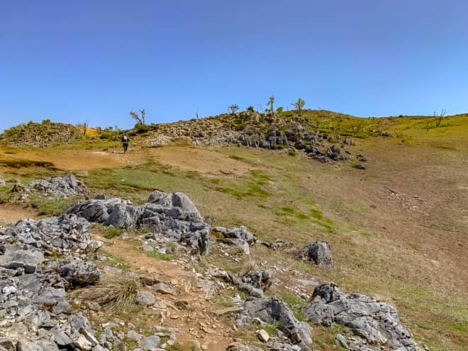 比較的緩やかな道が続き