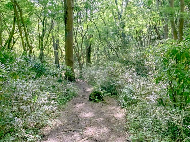 獅子岩→獅子舞谷口