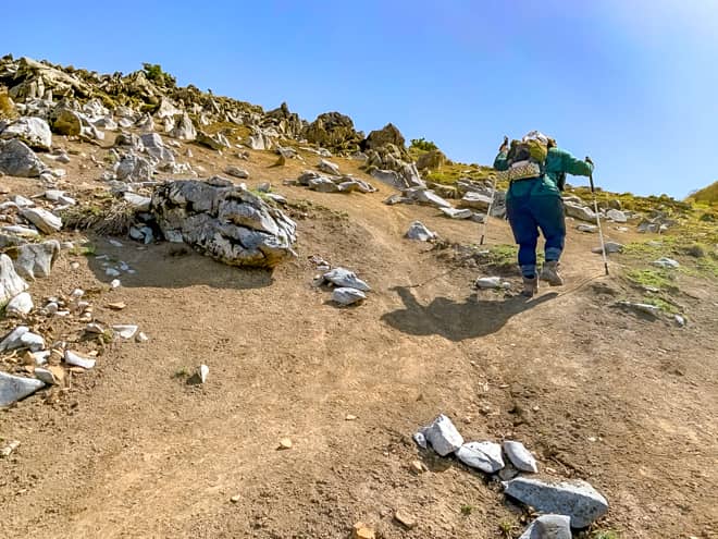 登りはまだ良いのですが
