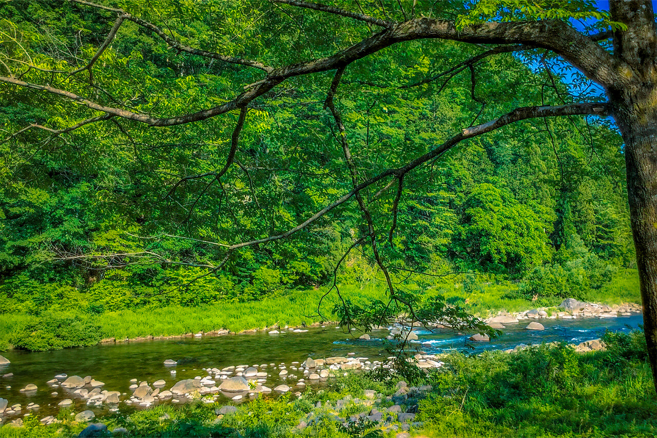 秩父定峰清流キャンプ場_1