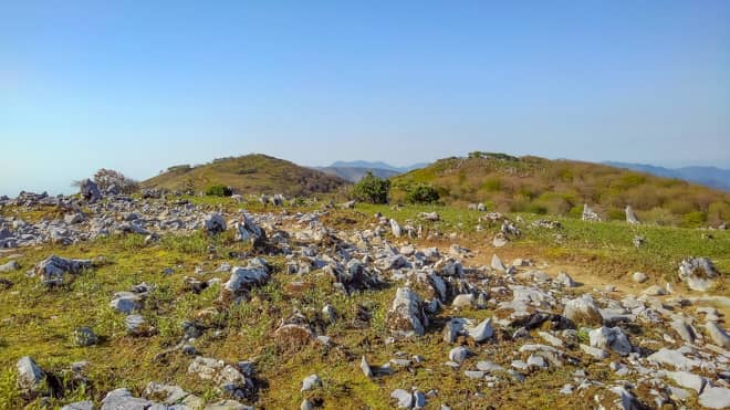 藤原岳カルスト台地
