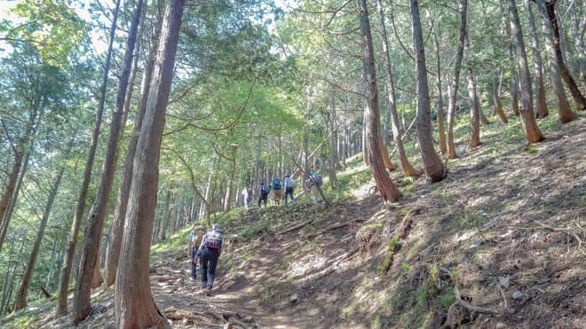 藤原岳七合目付近